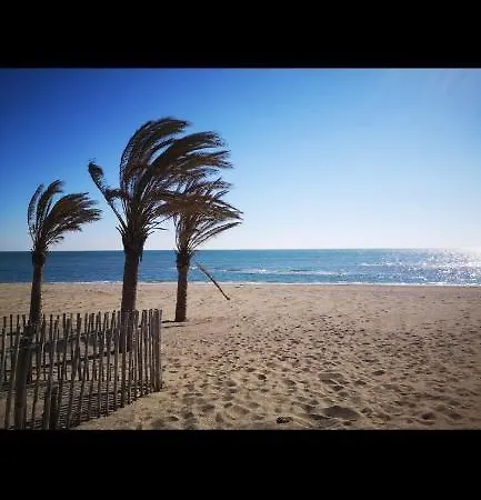 Charmant Studio Avec Acces Direct Plage *